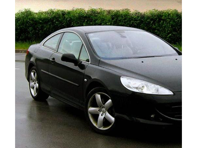 Baguette chromée de contour des vitres latérales compatible avec Peugeot 407
