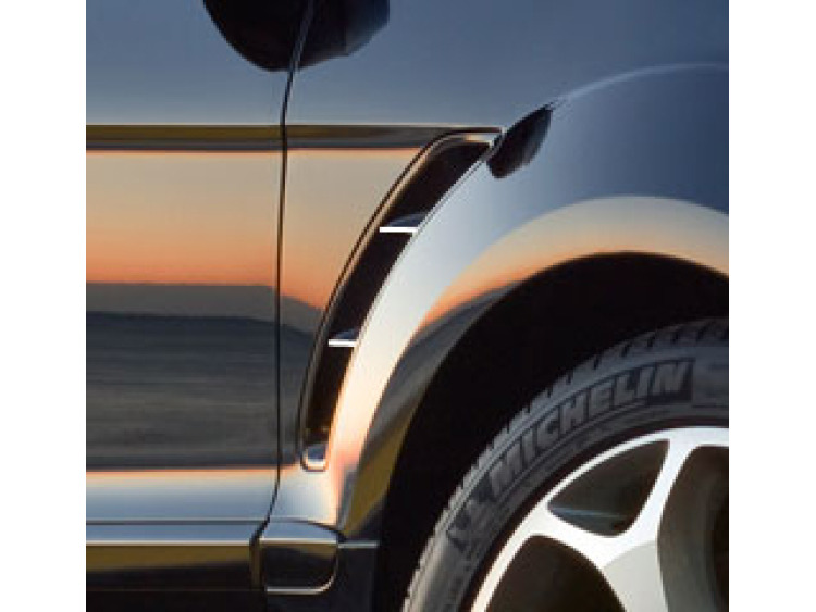 Baguette chrom&eacute;e pour a&eacute;ration compatible avec Ford S-Max