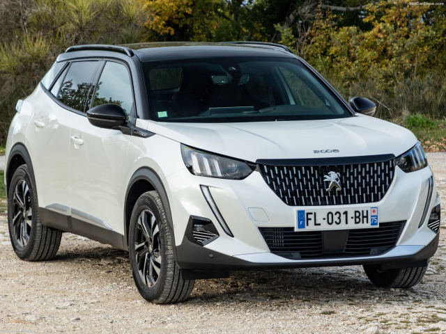 Baguette chromée pour antibrouillards compatible avec Peugeot 2008 1926