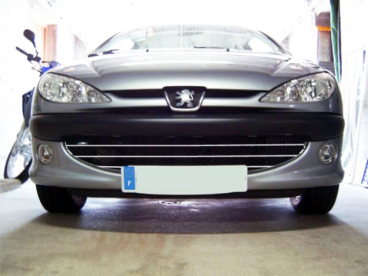 Baguette de calandre chrom&eacute;e compatible avec Peugeot 206 Peugeot 206 CC Peugeot 206 SW nid d'abeille