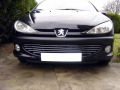 Baguette de calandre chrom&eacute;e compatible avec Peugeot 206 Peugeot 206 CC Peugeot 206 SW