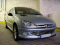 Baguette de calandre chrom&eacute;e compatible avec Peugeot 206 Peugeot 206 CC Peugeot 206 SW