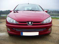Baguette de calandre chrom&eacute;e compatible avec Peugeot 206 Peugeot 206 CC Peugeot 206 SW