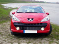 Baguette de calandre chrom&eacute;e compatible avec Peugeot 207 06-12 Peugeot 207 CC 07-15 Peugeot 207 SW 07-13