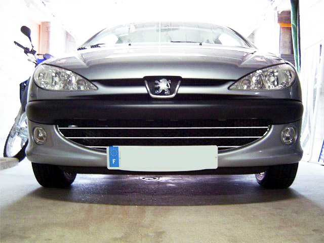 Baguette de calandre chromée pour Peugeot 206 Peugeot 206 CC Peugeot 206 SW nid dabeille