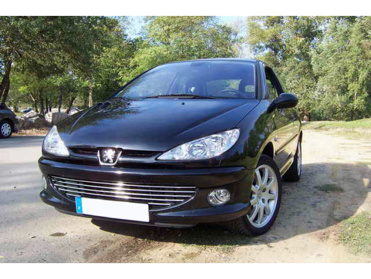 Baguette de calandre chrom&eacute;e pour Peugeot 206 Peugeot 206 CC Peugeot 206 SW