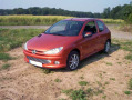 Baguette de calandre chrom&eacute;e pour Peugeot 206 Peugeot 206 CC Peugeot 206 SW