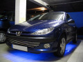 Baguette de calandre chrom&eacute;e pour Peugeot 206 Peugeot 206 CC Peugeot 206 SW