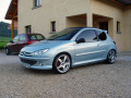 Baguette de calandre chrom&eacute;e pour Peugeot 206 Peugeot 206 CC Peugeot 206 SW