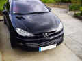 Baguette de calandre chrom&eacute;e pour Peugeot 206 Peugeot 206 CC Peugeot 206 SW