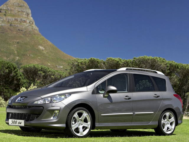 Baguette de protection latérale chromée compatible avec Peugeot 308 SW 0814